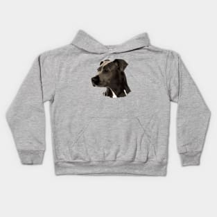 American Staffordshire Terrier - Amstaff Kids Hoodie